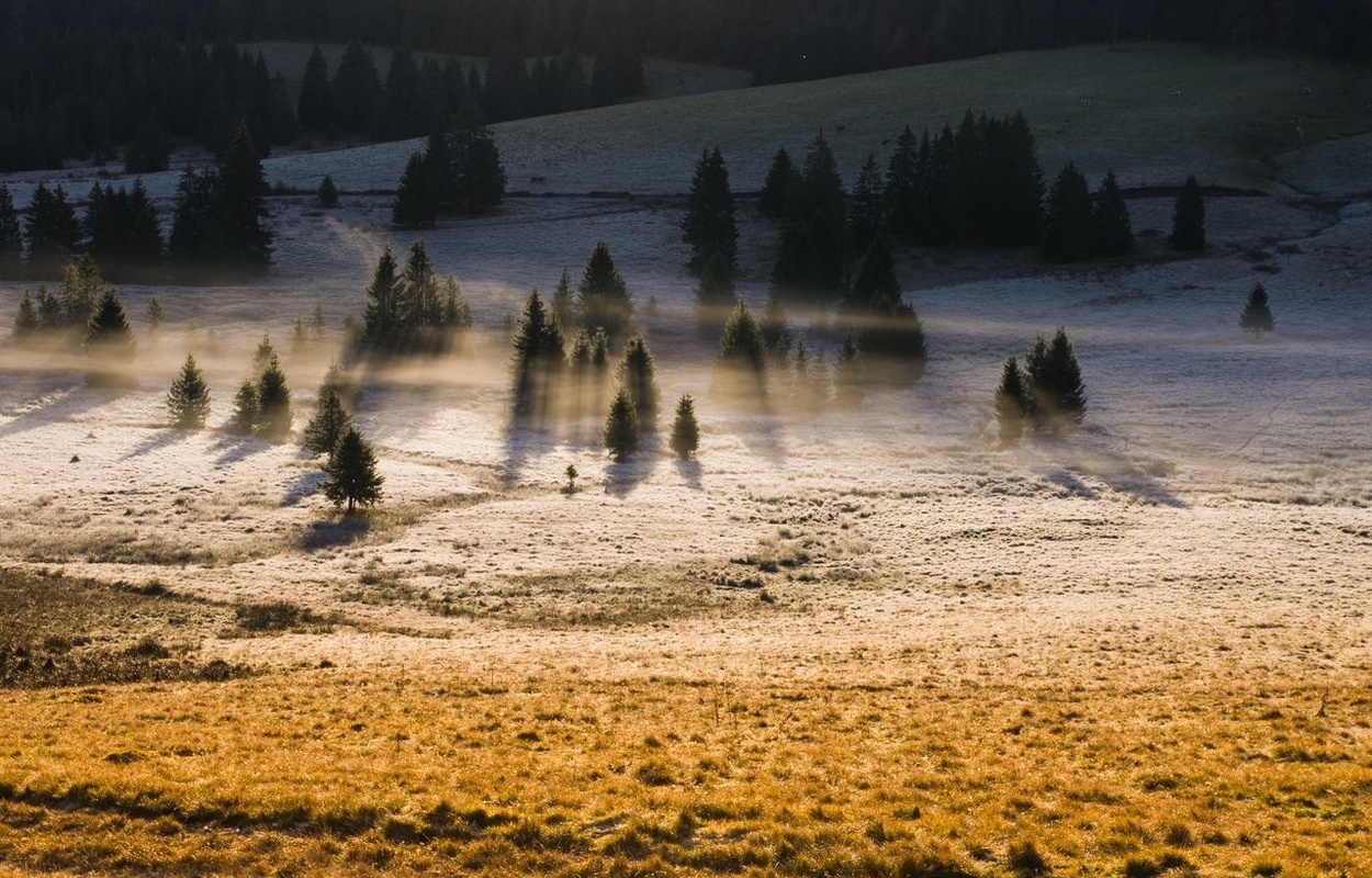 Bernau Schwarzwald Herbst Landschaft Talgrund leichte Nebelschwaden.jpg Bernau Schwarzwald Herbst Landschaft Talgrund leichte Nebelschwaden.jpg