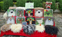 Streuobstwiesenschtze: Kissen aus Schafwolle. Foto: Petra Morgenstern.